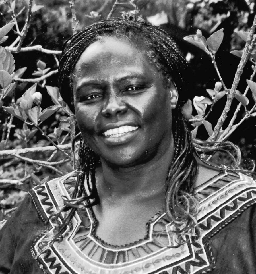 Wangari Maathai dies